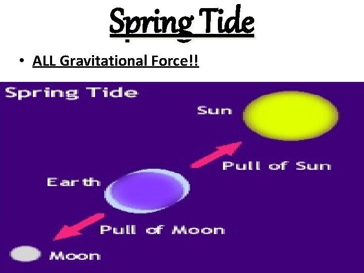 Spring Tide • ALL Gravitational Force!! 
