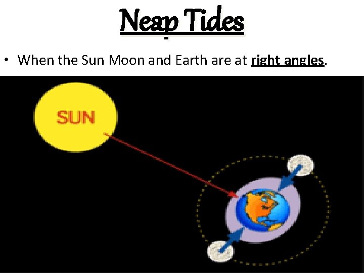 Neap Tides • When the Sun Moon and Earth are at right angles. 