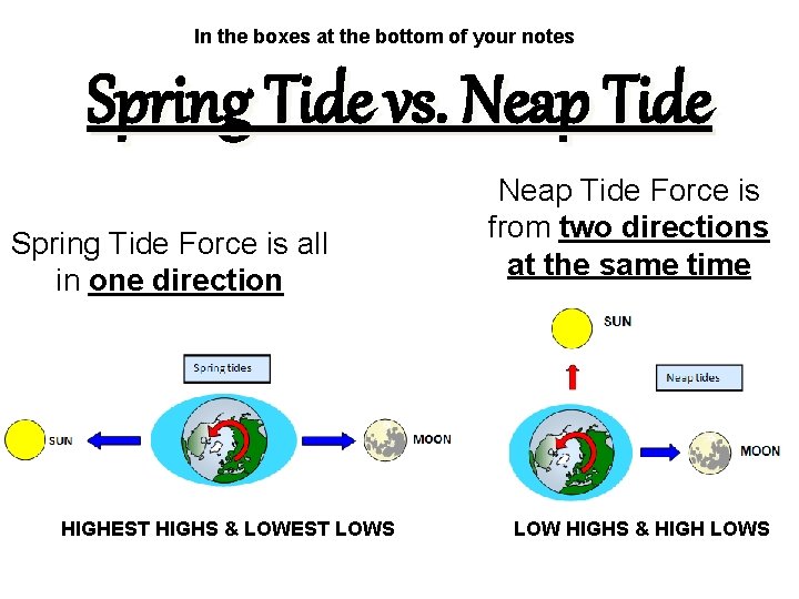 In the boxes at the bottom of your notes Spring Tide vs. Neap Tide