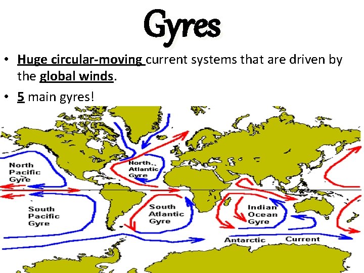 Gyres • Huge circular-moving current systems that are driven by the global winds. •