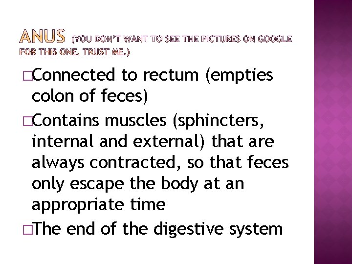 �Connected to rectum (empties colon of feces) �Contains muscles (sphincters, internal and external) that