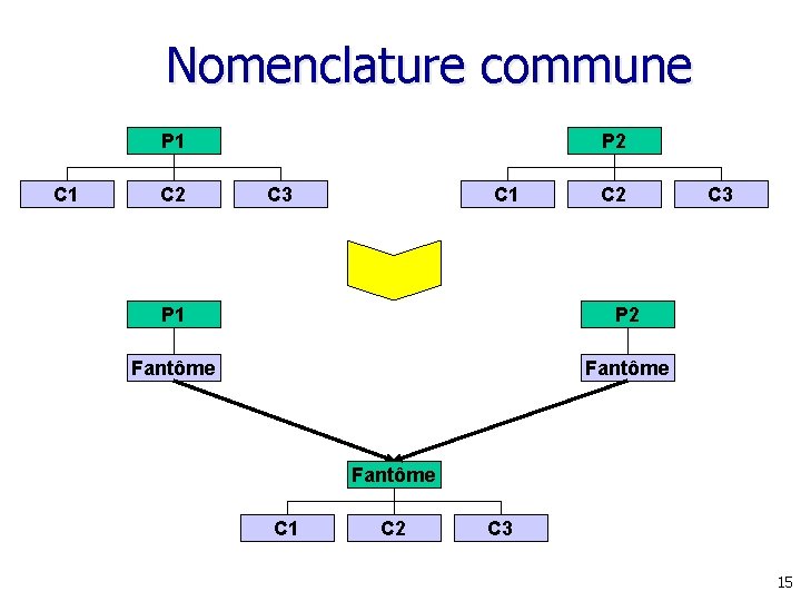 Nomenclature commune P 1 C 2 P 2 C 3 C 1 C 2 Nomenclature commune P 1 C 2 P 2 C 3 C 1 C 2
