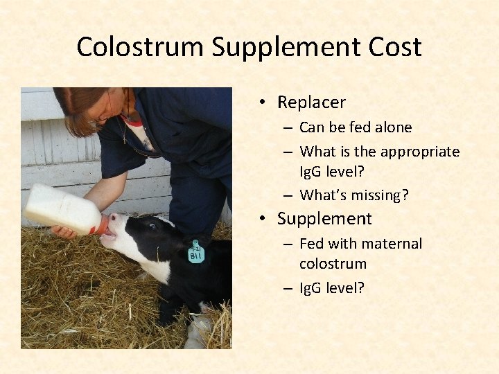 Colostrum Supplement Cost • Replacer – Can be fed alone – What is the