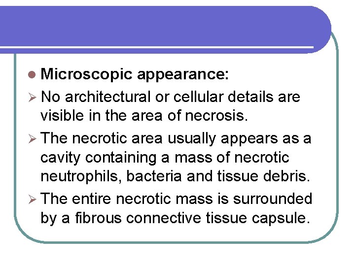 l Microscopic appearance: Ø No architectural or cellular details are visible in the area