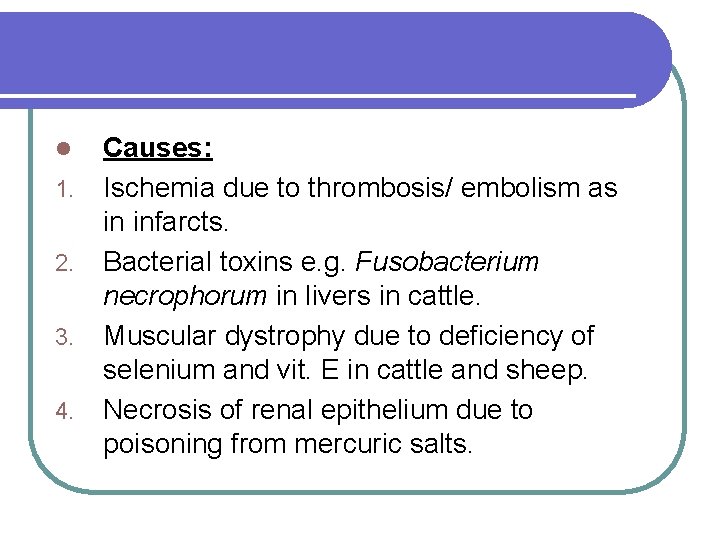 l 1. 2. 3. 4. Causes: Ischemia due to thrombosis/ embolism as in infarcts.