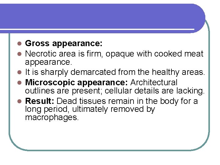 Gross appearance: Necrotic area is firm, opaque with cooked meat appearance. l It is