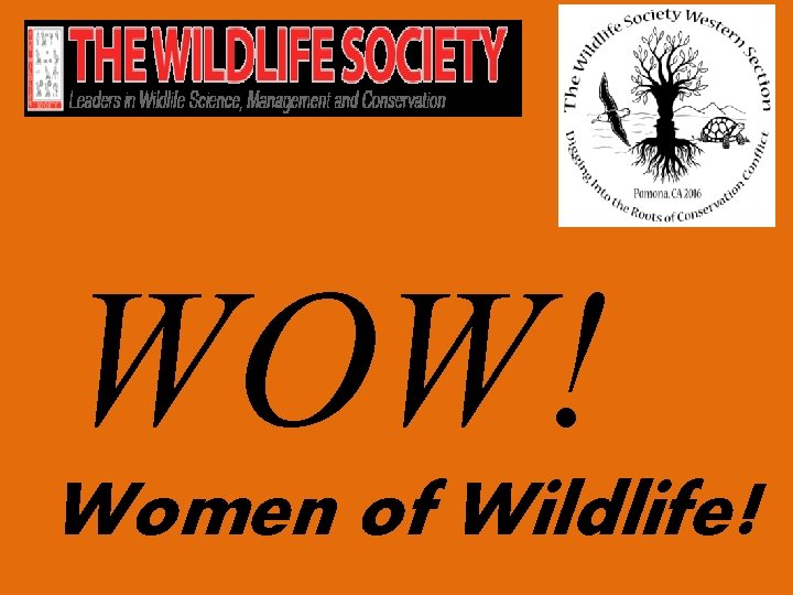 WOW! Women of Wildlife! 