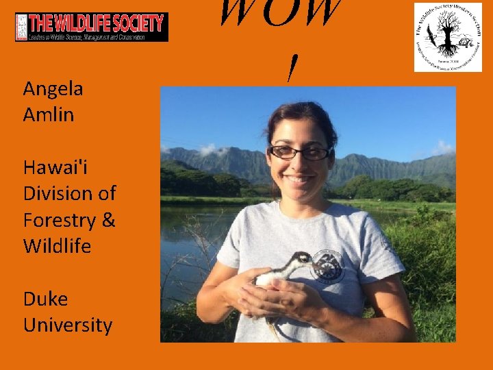 Angela Amlin Hawai'i Division of Forestry & Wildlife Duke University WOW ! 