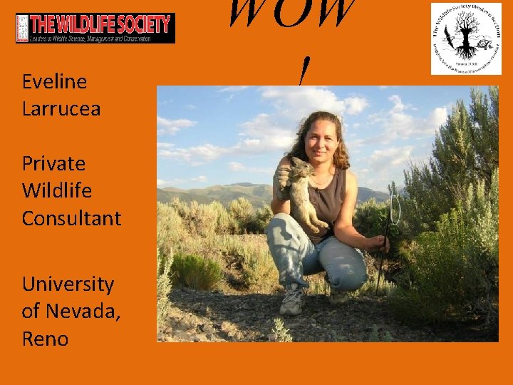 Eveline Larrucea Private Wildlife Consultant University of Nevada, Reno WOW ! 
