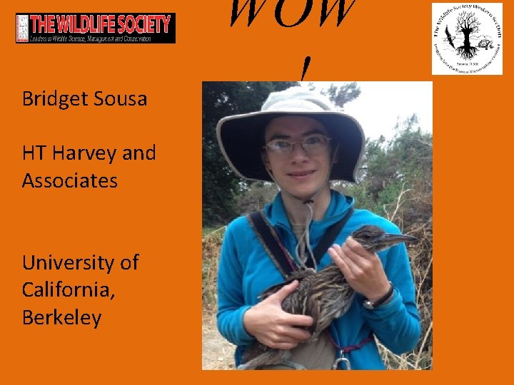 Bridget Sousa HT Harvey and Associates University of California, Berkeley WOW ! 
