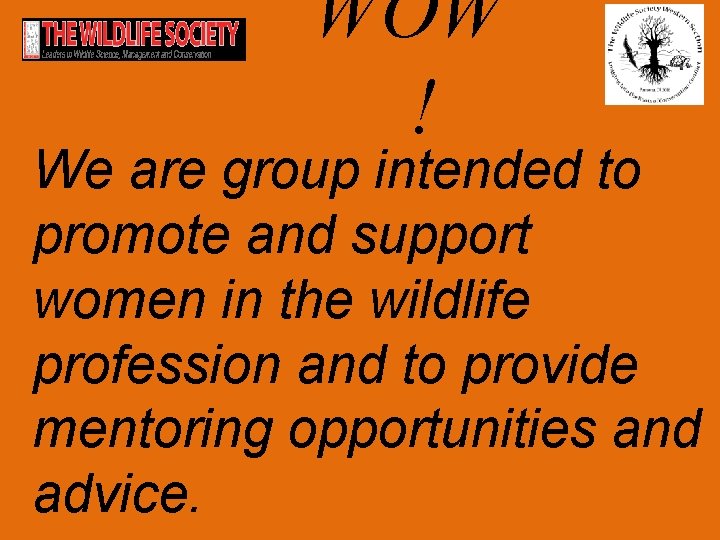 WOW ! We are group intended to promote and support women in the wildlife