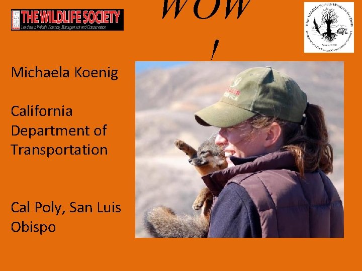 Michaela Koenig California Department of Transportation Cal Poly, San Luis Obispo WOW ! 