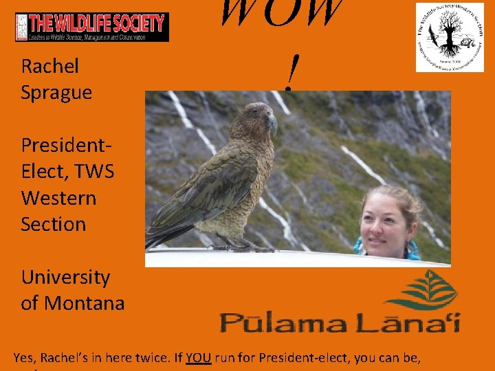 Rachel Sprague WOW ! President. Elect, TWS Western Section University of Montana Yes, Rachel’s