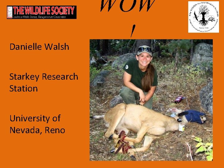 Danielle Walsh Starkey Research Station University of Nevada, Reno WOW ! 