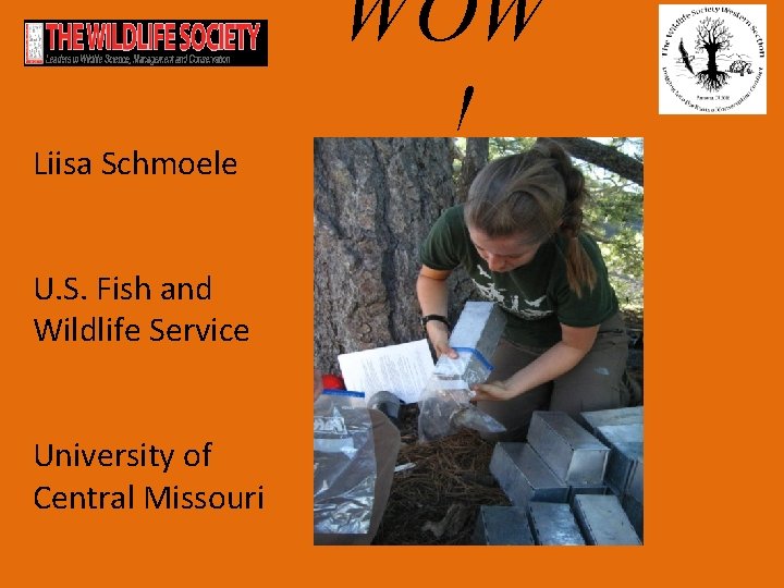 Liisa Schmoele U. S. Fish and Wildlife Service University of Central Missouri WOW !