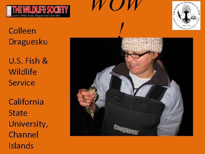 Colleen Draguesku U. S. Fish & Wildlife Service California State University, Channel Islands WOW