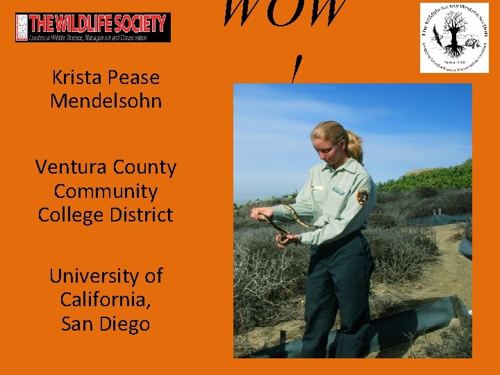 Krista Pease Mendelsohn Ventura County Community College District University of California, San Diego WOW