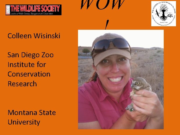 Colleen Wisinski San Diego Zoo Institute for Conservation Research Montana State University WOW !