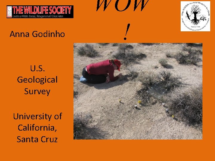 Anna Godinho U. S. Geological Survey University of California, Santa Cruz WOW ! 