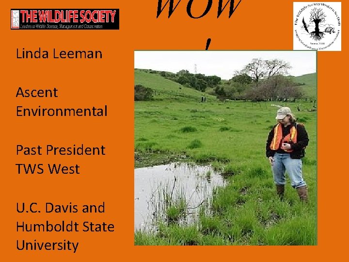 Linda Leeman Ascent Environmental Past President TWS West U. C. Davis and Humboldt State