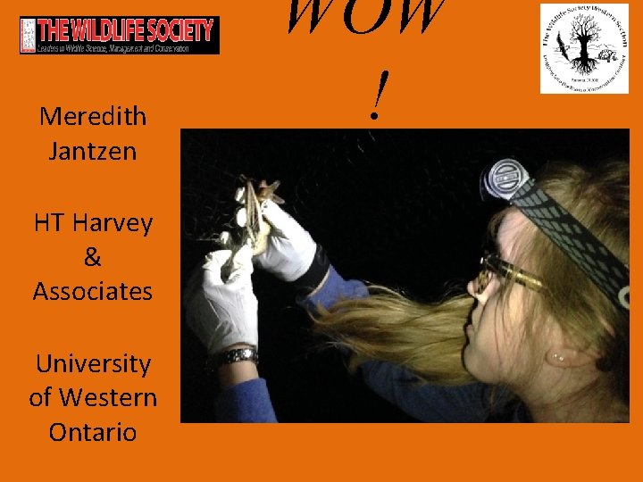 Meredith Jantzen HT Harvey & Associates University of Western Ontario WOW ! 