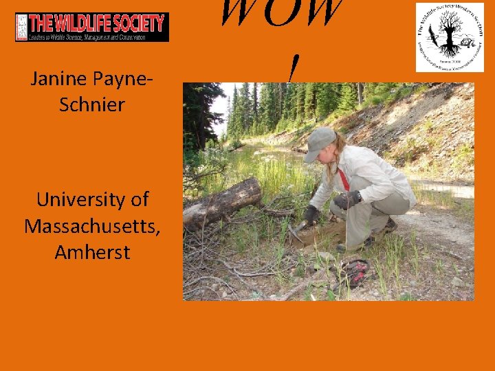 Janine Payne. Schnier University of Massachusetts, Amherst WOW ! 