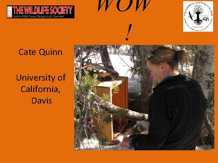 WOW ! Cate Quinn University of California, Davis 