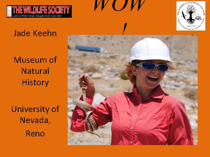 Jade Keehn Museum of Natural History University of Nevada, Reno WOW ! 