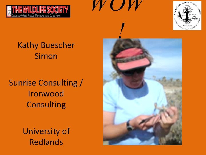 Kathy Buescher Simon Sunrise Consulting / Ironwood Consulting University of Redlands WOW ! 