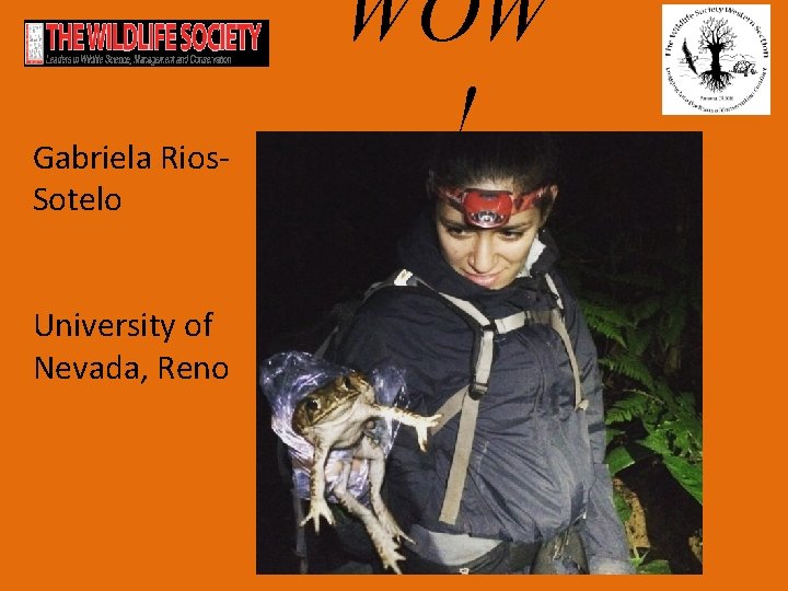 Gabriela Rios. Sotelo University of Nevada, Reno WOW ! 