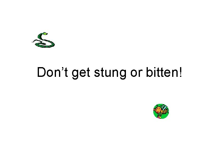 Don’t get stung or bitten! 