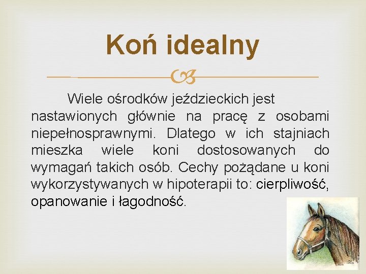 Koń idealny Wiele ośrodków jeździeckich jest nastawionych głównie na pracę z osobami niepełnosprawnymi. Dlatego