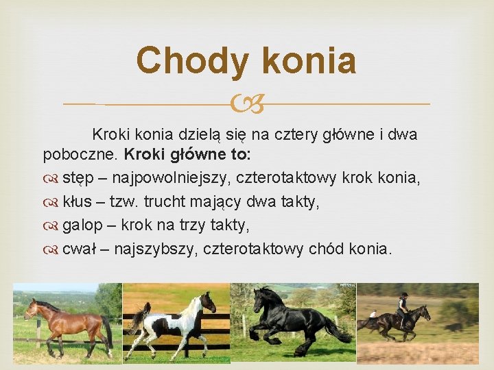 Chody konia Kroki konia dzielą się na cztery główne i dwa poboczne. Kroki główne