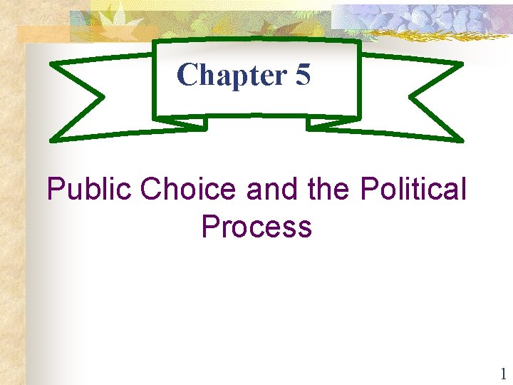 Chapter 5 Public Choice and the Political Process 1 