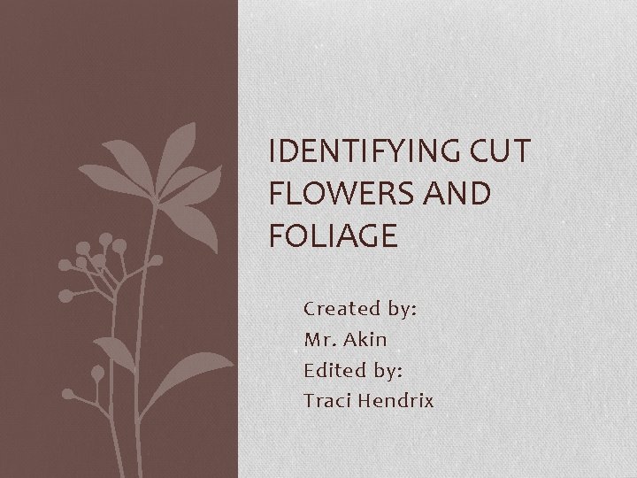 IDENTIFYING CUT FLOWERS AND FOLIAGE Created by: Mr. Akin Edited by: Traci Hendrix 