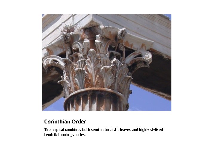 Corinthian Order The capital combines both semi-naturalistic leaves and highly stylised tendrils forming volutes.