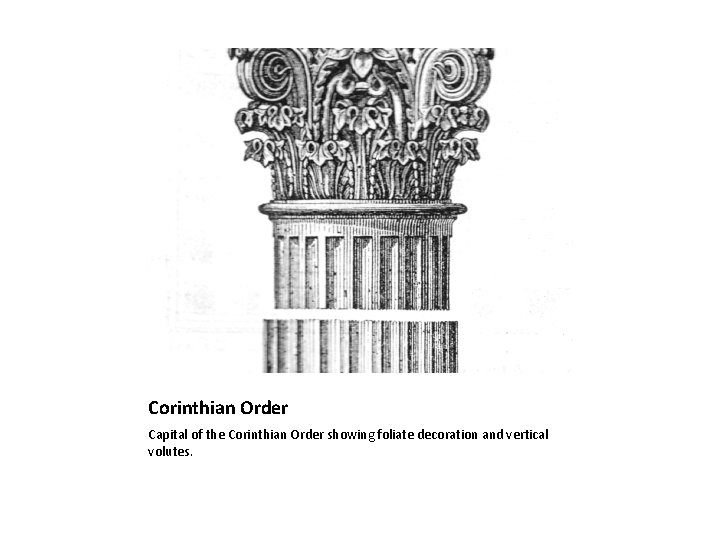 Corinthian Order Capital of the Corinthian Order showing foliate decoration and vertical volutes. 