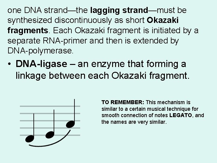 one DNA strand—the lagging strand—must be synthesized discontinuously as short Okazaki fragments. Each Okazaki