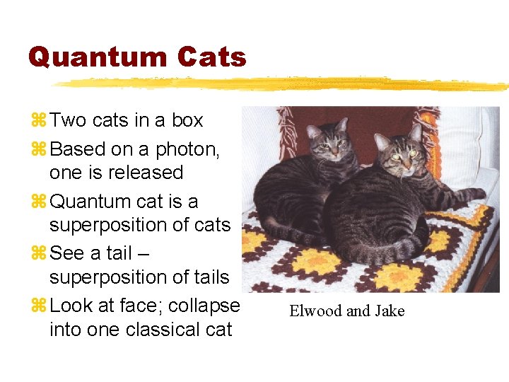 Quantum Cats z Two cats in a box z Based on a photon, one