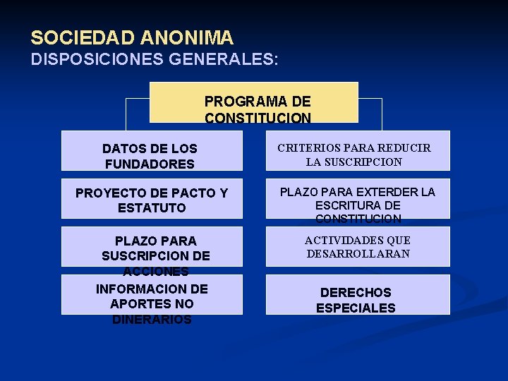 SOCIEDAD ANONIMA DISPOSICIONES GENERALES: PROGRAMA DE CONSTITUCION DATOS DE LOS FUNDADORES CRITERIOS PARA REDUCIR