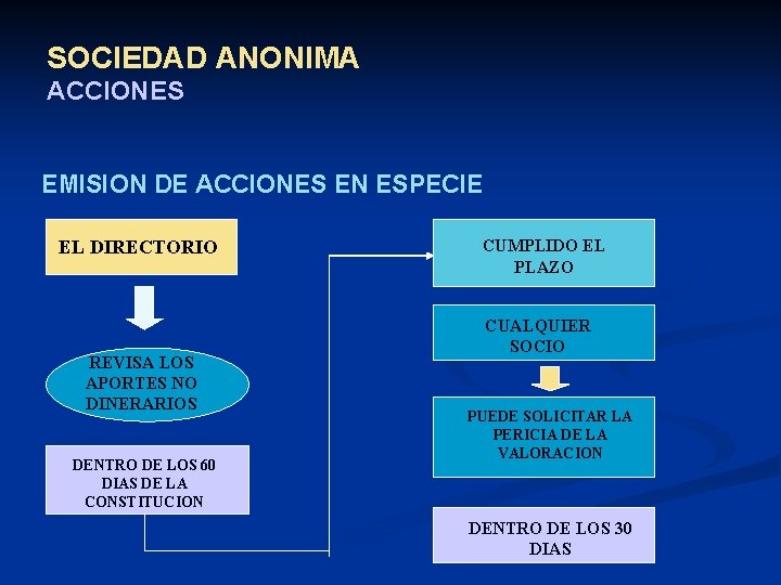SOCIEDAD ANONIMA ACCIONES EMISION DE ACCIONES EN ESPECIE EL DIRECTORIO REVISA LOS APORTES NO