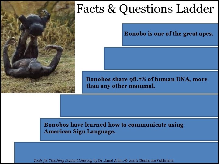 Facts & Questions Ladder Bonobo is one of the great apes. Bonobos share 98.