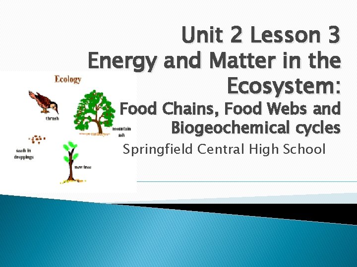 Unit 2 Lesson 3 Energy and Matter in the Ecosystem: Food Chains, Food Webs