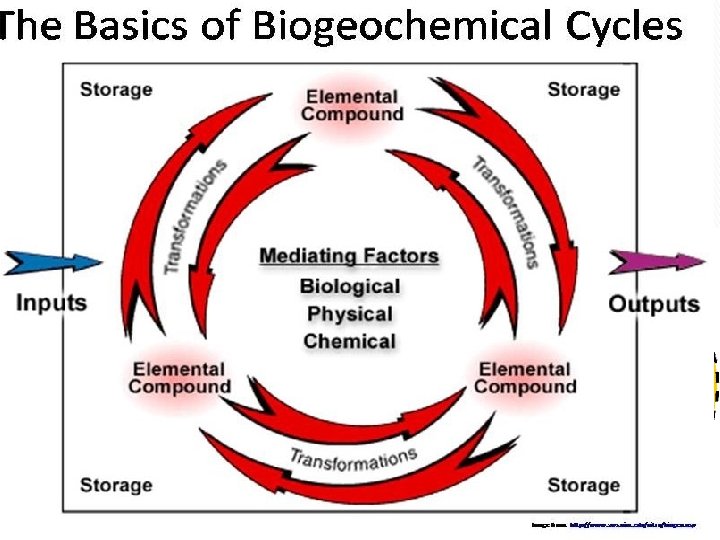 Biogeochemical Cycles We have seen energy and matter travel through the ecosystems using the