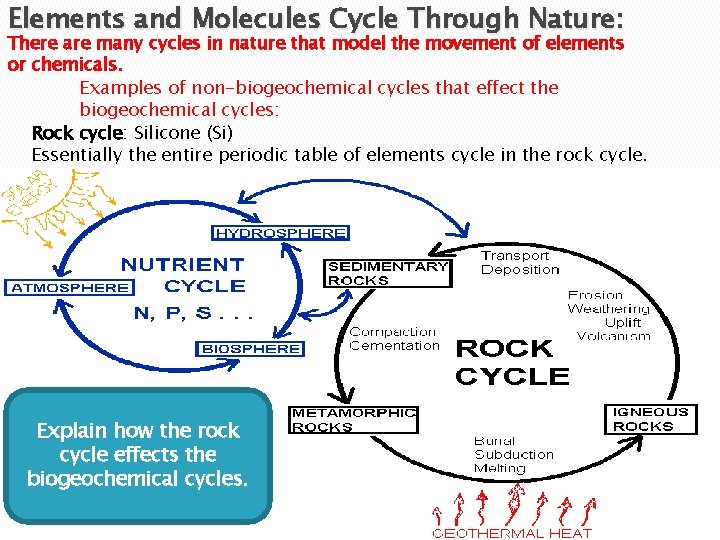 Elements and Molecules Cycle Through Nature: There are many cycles in nature that model