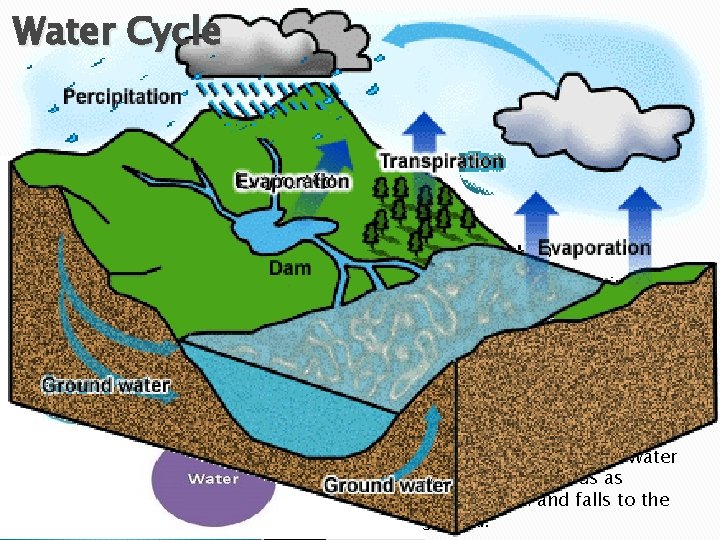 Water Cycle Describe the water cycle and this cycle’s impact on life. Life depends