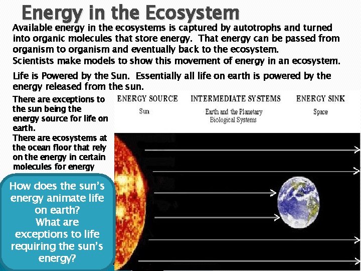 Energy in the Ecosystem Available energy in the ecosystems is captured by autotrophs and