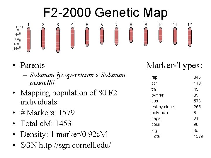 F 2 -2000 Genetic Map • Parents: – Solanum lycopersicum x Solanum pennellii •