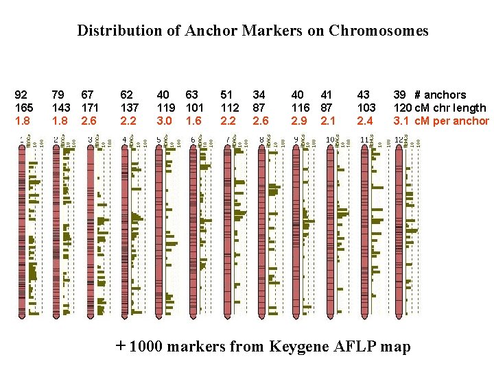 Distribution of Anchor Markers on Chromosomes 92 165 1. 8 79 67 143 171