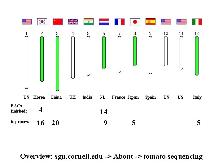 US BACs finished: in process: Korea China 4 16 20 UK India NL 14